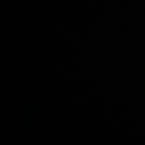 Meet your Posher, Jesse